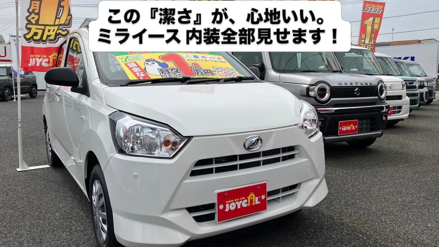 この『潔さ』が、実は心地いい。